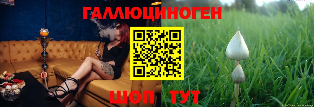 Галлюциногенные грибы мицелий Щёлково